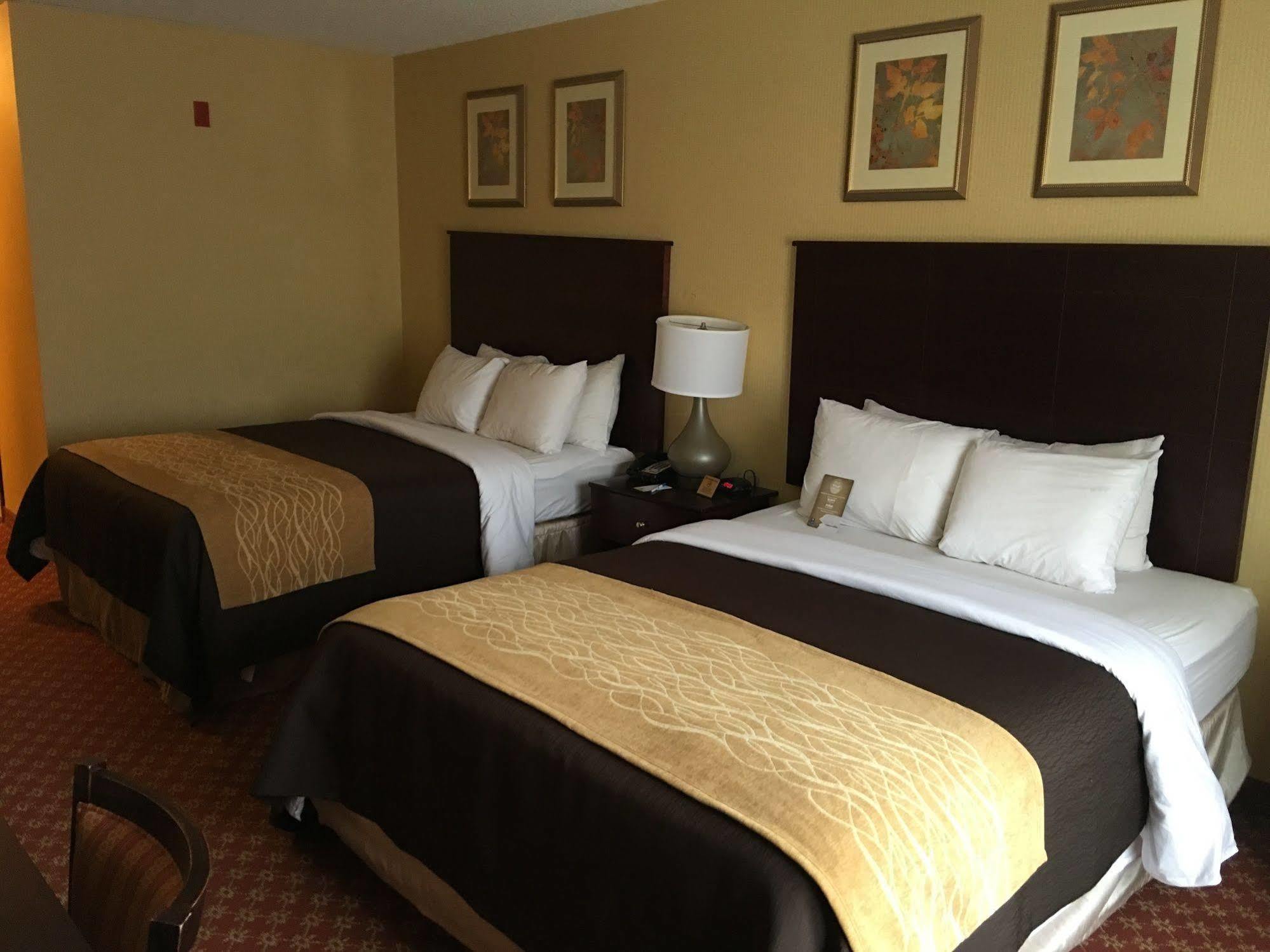 Comfort Inn Naugatuck-Shelton, Ct Exterior foto
